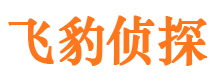 七台河市婚外情调查